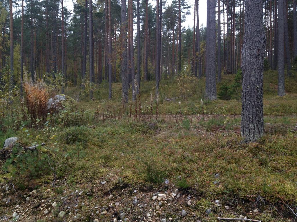Kultainen Kaava Cottages Padasjoki Luaran gambar